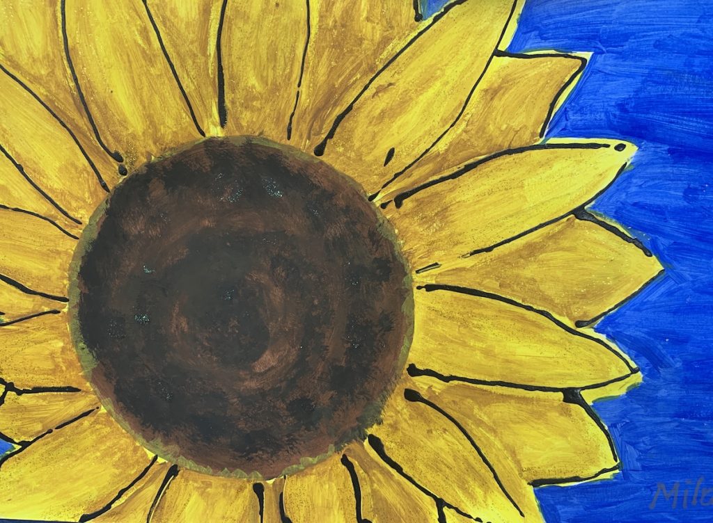 sunflower2