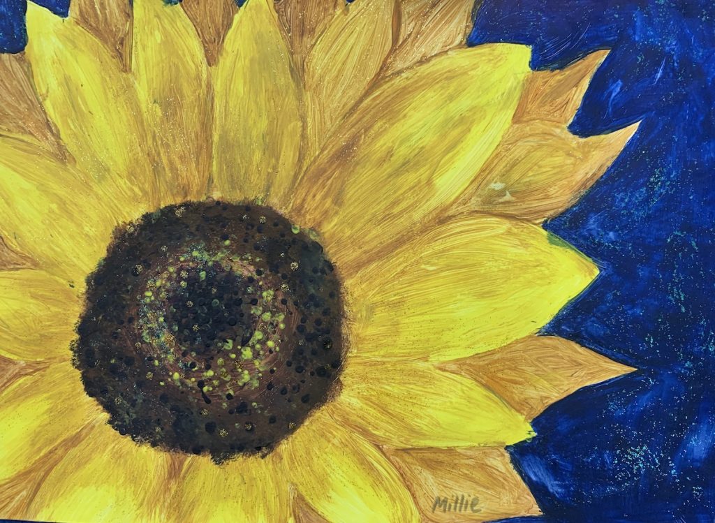sunflower3-1