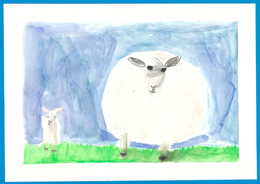 charlotte-sheep