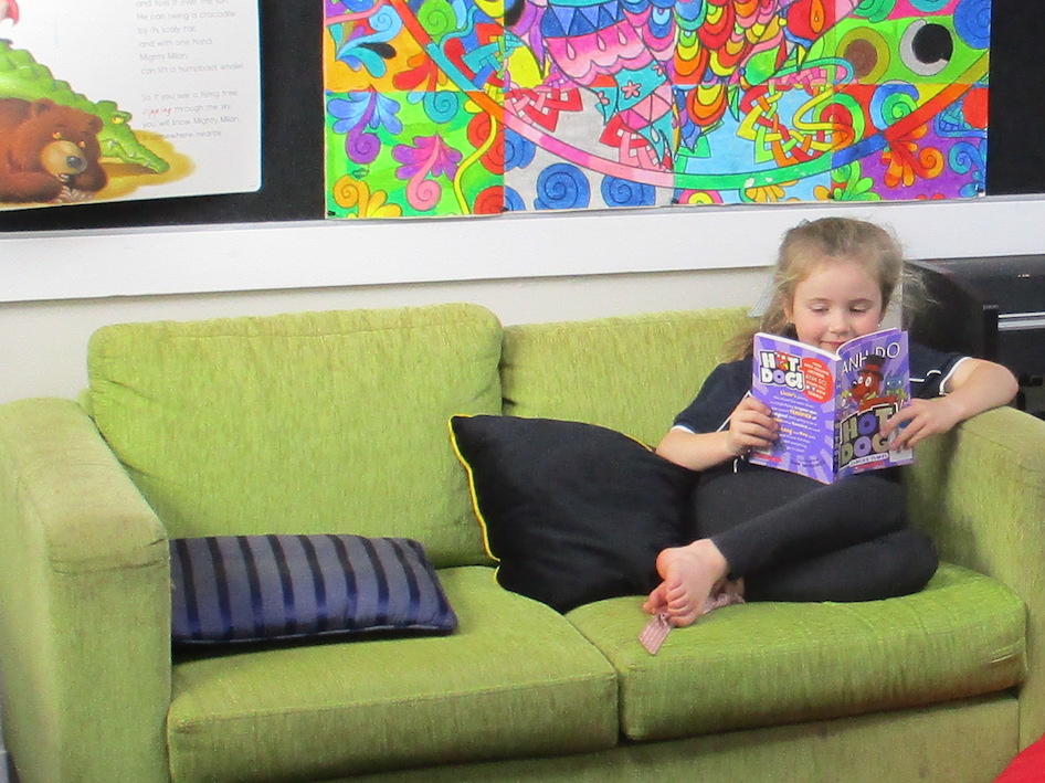 book-reader