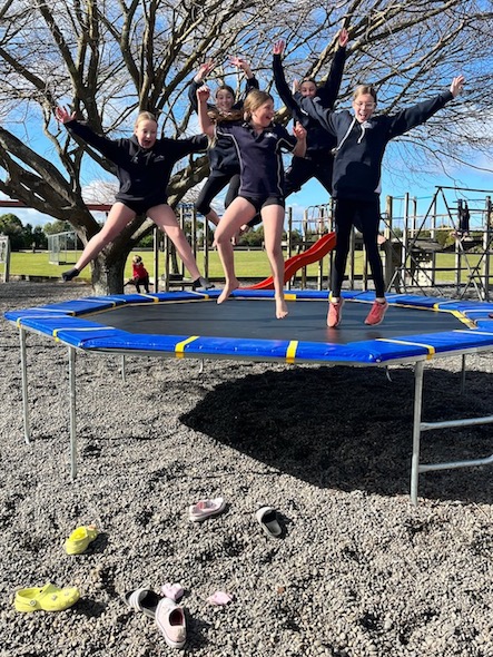 trampoline